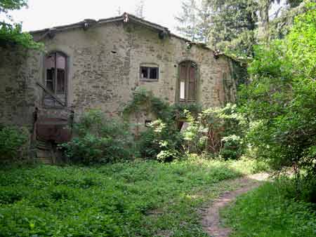 Costruzioni ormai abbandonate nel bosco, a testimonianza di una passata antropizzazione di questi luoghi.