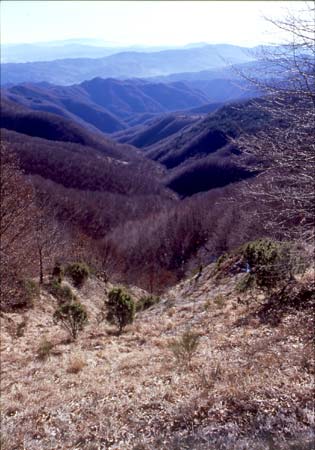 Val Carigiola.