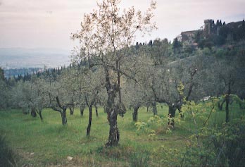 Tratto del Sentiero degli Di nei pressi di Fiesole, sullo sfondo il castello di Vincigliata (Fi).