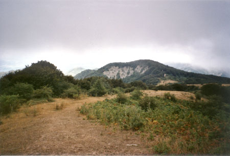 Nello sfondo  visibile l'Alpe di Vitigliano -Crinale Alto Mugello.